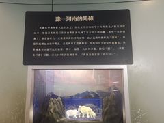 -河南自然博物馆