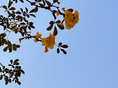 -洲头咀公园