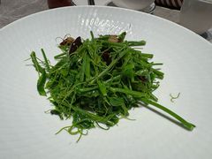 辣木苗拌鸡纵菌-永安鱼庄·镇江菜(东吴路店)