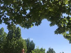 -永定河休闲森林公园