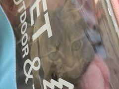 -美联众合动物医院·24h转诊中心