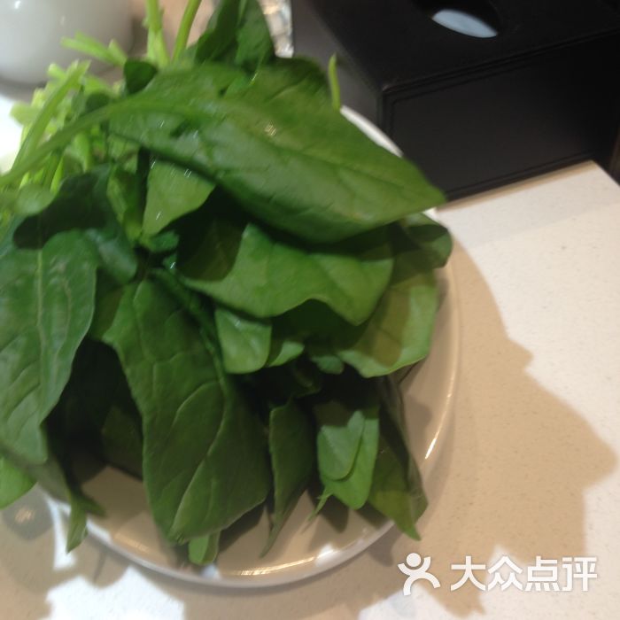 海底捞火锅(南京东路店)菠菜图片 - 第7481张