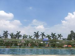 -广东花都香草世界旅游度假区