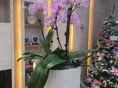 -瑞泰口腔(大宁分院)