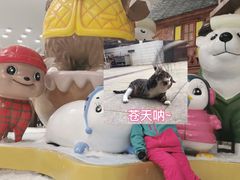 -长沙湘江冰雪世界