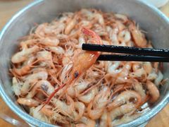 -水上鱼当家