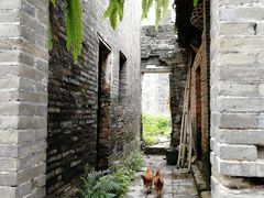 -扬美古镇景区