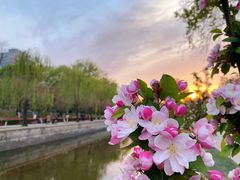 -海棠花溪(元大都城垣遗址公园)