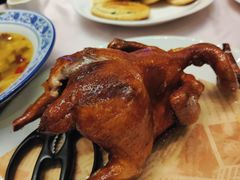 -东方御宴海鲜酒楼(棕泉酒店)
