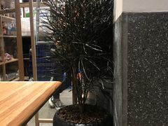 -村外有星光小食铺(解放碑1089店)