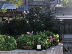 -老北京风情街