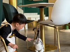 -飞行喵MR PILOT|猫舍·猫咖(静安大融城店)