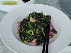 -上海新锦江大酒店