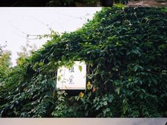-植觉