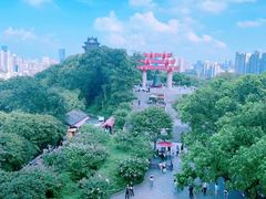 -黄鹤楼公园(黄鹤楼)