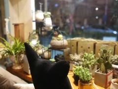 -Kitchen·Y洋厨房西餐厅(王府壹号店)
