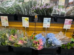-鹿岛生活(熙地港店)
