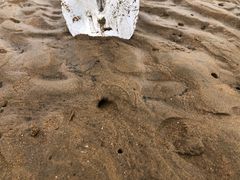 -东戴河风景区-止锚湾