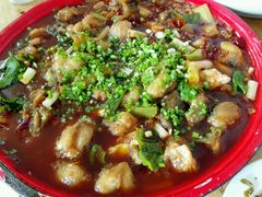 -y牌太安鱼
