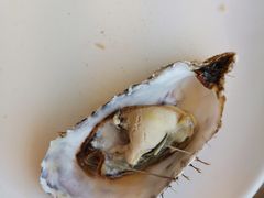 -港畔赶海蒸汽海鲜烧烤自助(仙螺岛店)