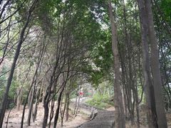 -火炉山森林公园