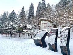 -白水寺森林公园