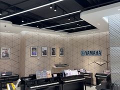 -知音艺术教育培训·钢琴培训·音乐培训(河西金鹰世界校区)