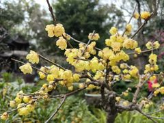 -成都杜甫草堂博物馆