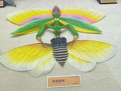 -鸢飞潍坊菜馆(鸢飞大酒店)