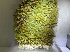 -湖南省地质博物馆