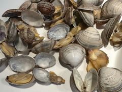 -海味当家·蒸锅海鲜(星海公园店)