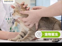 -宠颐生中康贝怡动物医院