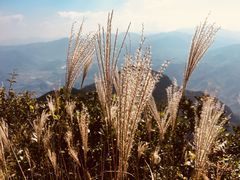 -鸡枕山
