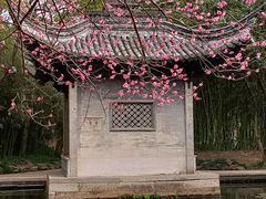 -兰亭风景区