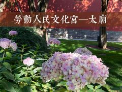 -北京市劳动人民文化宫