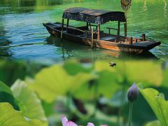 -西溪国家湿地公园