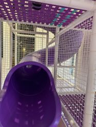 -奈尔宝·儿童乐园·亲子餐厅(华采天地店)