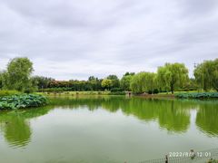 -燕郊植物园
