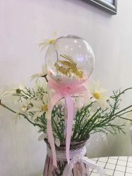 -成都苗方清颜专业祛痘