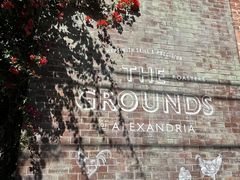 -The Grounds of Alexandria