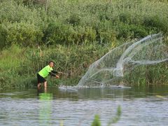 -春花秋色城市公园