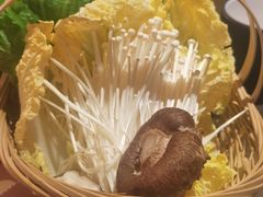 -同仁四季椰子鸡(罗湖国贸店)