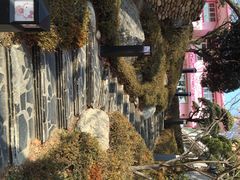 -Hello Kitty Cafe(弘大店)