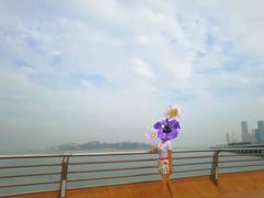 -演武大桥观景平台