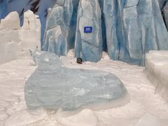 -长沙湘江冰雪世界