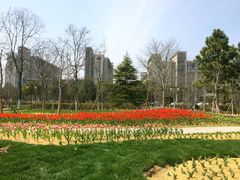 -江南大学(蠡湖校区)