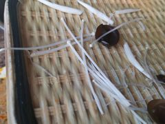 -德顺斋爆肚涮肉馆·烧烤·羊蝎子·清真炒菜(马驹桥店)