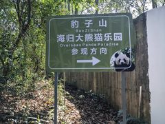 -中国大熊猫保护研究中心雅安碧峰峡基地