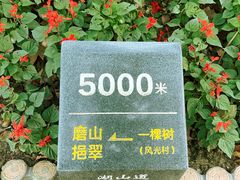 -东湖磨山景区