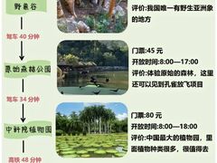 -西双版纳原始森林公园